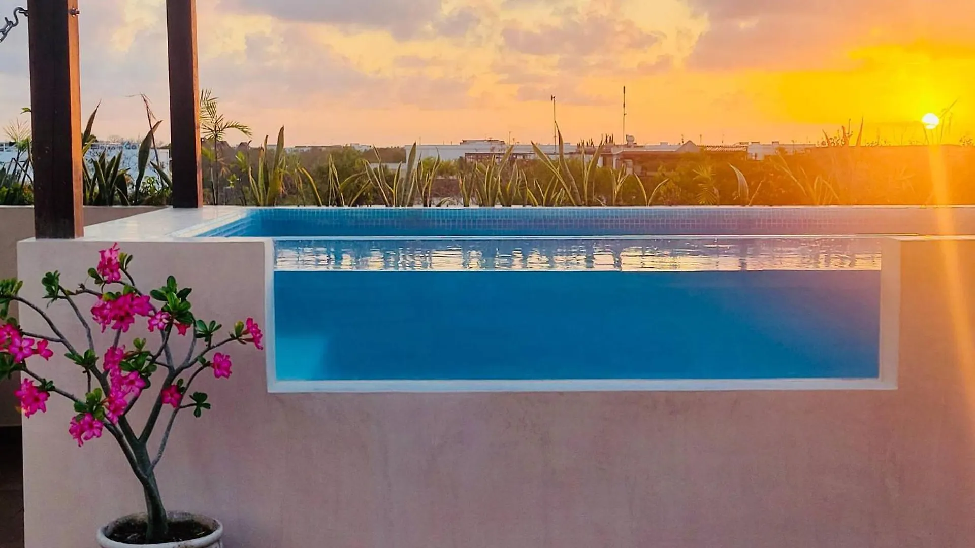 4 Bedroom Deluxe Penthouse With Private Roof Garden With Pool In Aldea Zama Tikal 17 Tulum Mexico